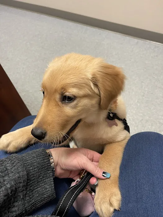 Bethlehem Veterinary Hospital Picture 5