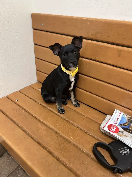 Banfield Pet Hospital Picture 4