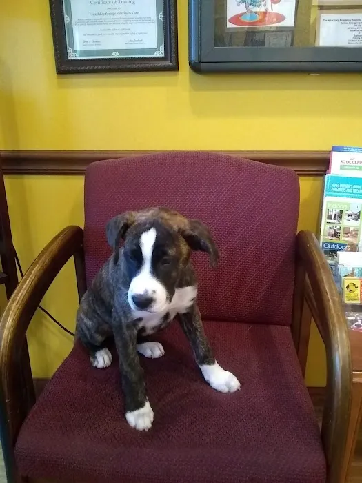 Friendship Springs Veterinary Care Picture 5