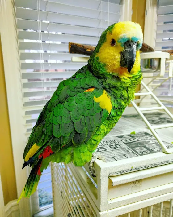 Sprayberry Animal Hospital Picture 4