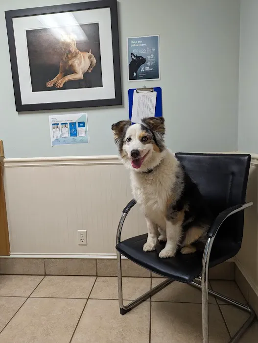Sprayberry Animal Hospital Picture 9