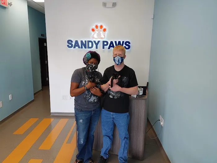 Sandy Paws Veterinary Clinic Picture 10