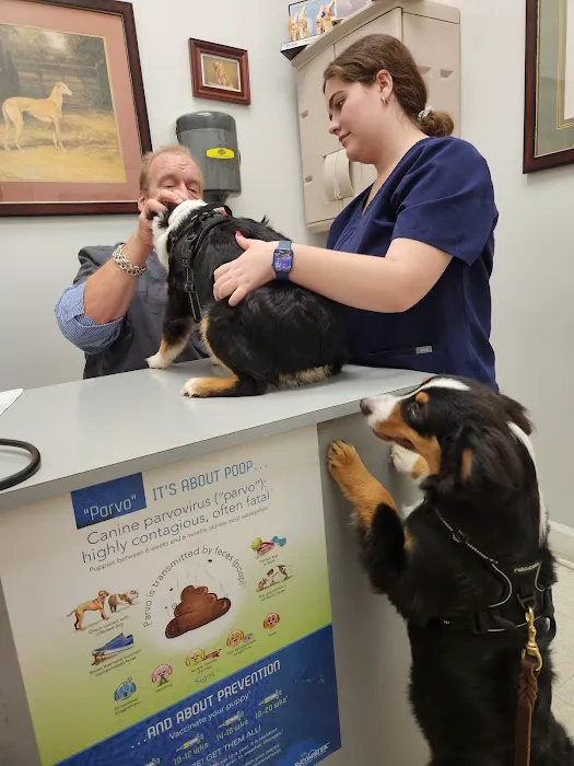 Johnson Veterinary Services Picture 8