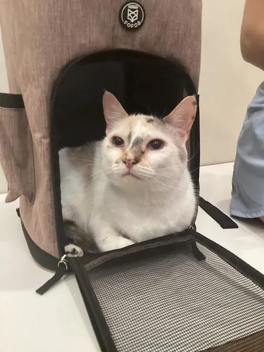 Petfolk Veterinary & Urgent Care - East Cobb Marietta Picture 2