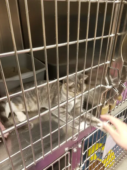 Banfield Pet Hospital Picture 3