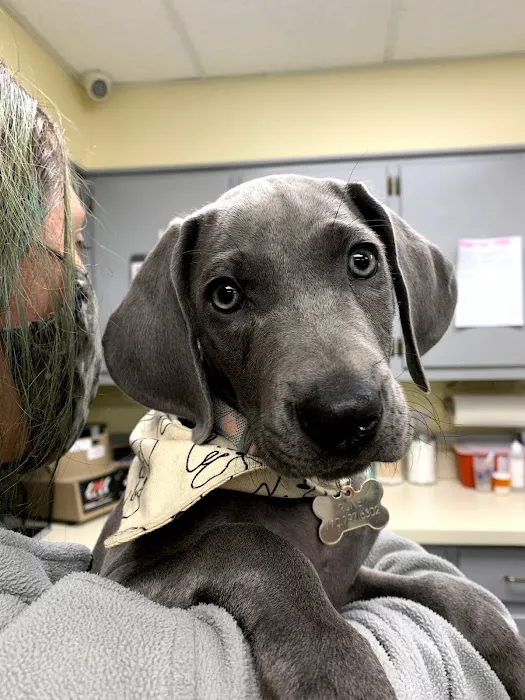 Shiloh Veterinary Hospital Picture 4