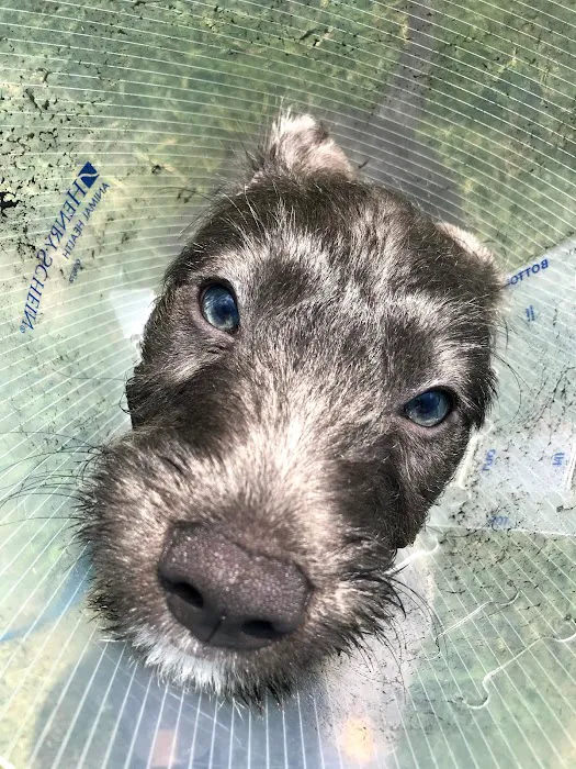Shiloh Veterinary Hospital Picture 7