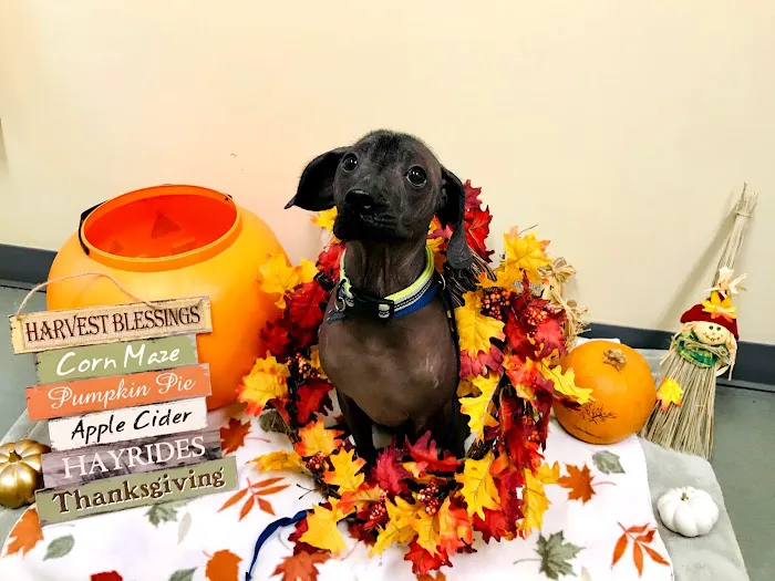 Shiloh Veterinary Hospital Picture 8