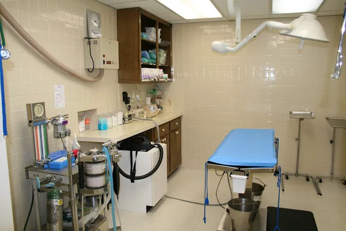 North Cobb Animal Hospital Picture 1