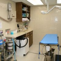 North Cobb Animal Hospital ico