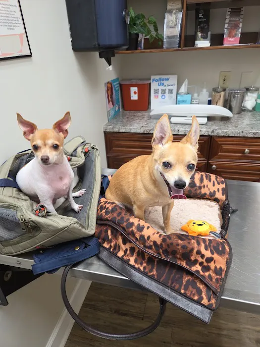 North Cobb Animal Hospital Picture 6