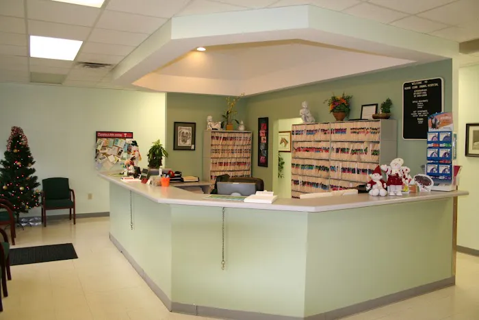 North Cobb Animal Hospital Picture 4
