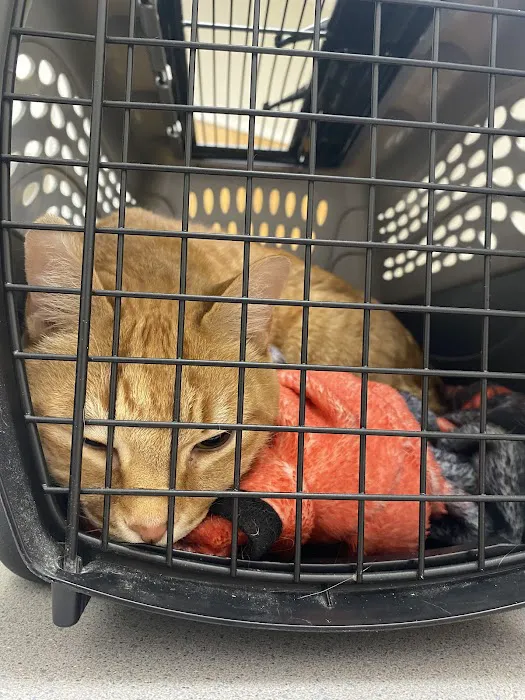 North Cobb Animal Hospital Picture 10