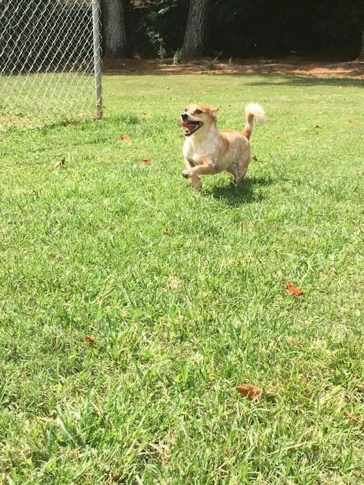 Kennesaw Pet Center Picture 1