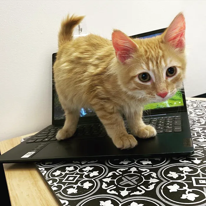 Kennesaw Pet Center Picture 2