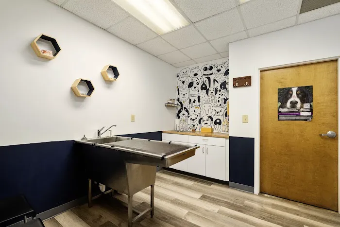 Kennesaw Pet Center Picture 3