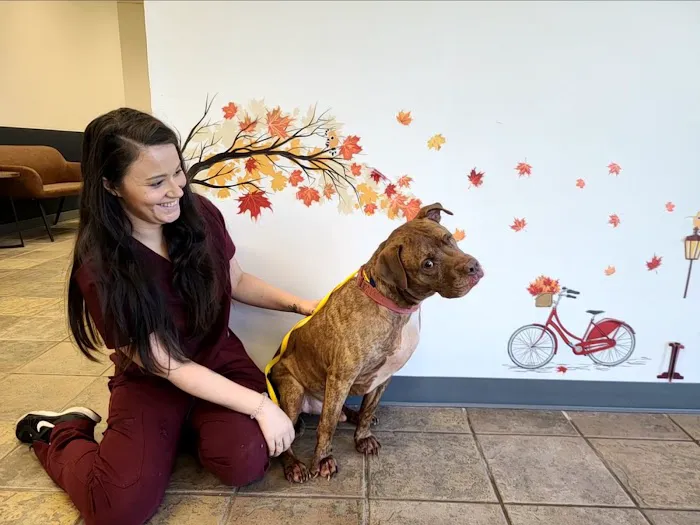 Kennesaw Pet Center Picture 6