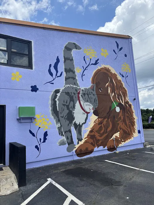 Kennesaw Pet Center Picture 7
