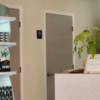 P&A Animal Medical Center(Animal Hospital) ico