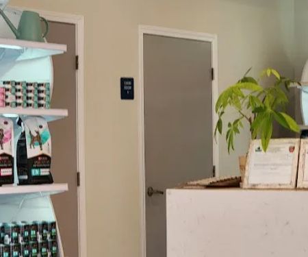 P&A Animal Medical Center(Animal Hospital)