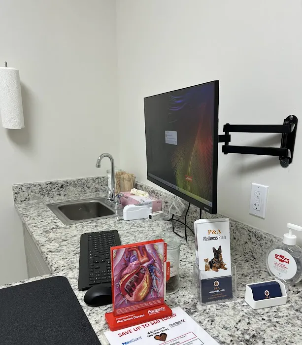 P&A Animal Medical Center(Animal Hospital) Picture 4