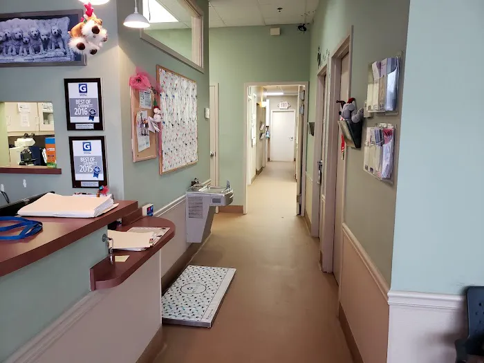 Crossroads Animal Clinic Inc Picture 4
