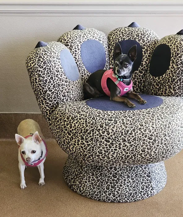 Crossroads Animal Clinic Inc Picture 7