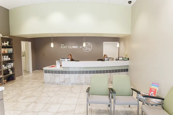 The Cat Clinic at Tiger Tails Picture 6