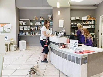 Tiger Tails Animal Hospital Picture 4