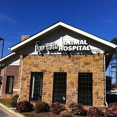 Tiger Tails Animal Hospital Picture 5