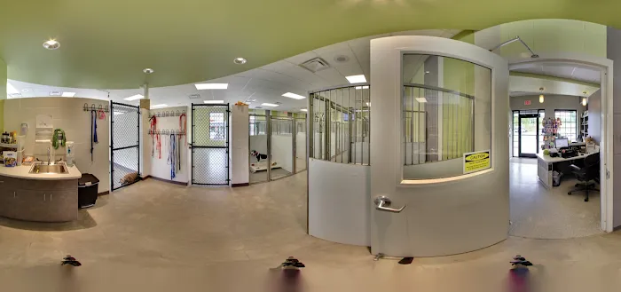 Tiger Tails Animal Hospital Picture 8