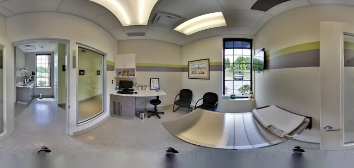 Tiger Tails Animal Hospital Picture 10
