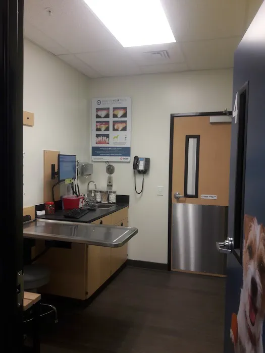Banfield Pet Hospital Picture 1
