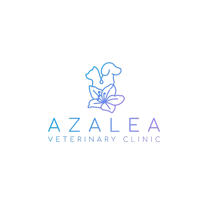 Azalea Veterinary Clinic Picture 6