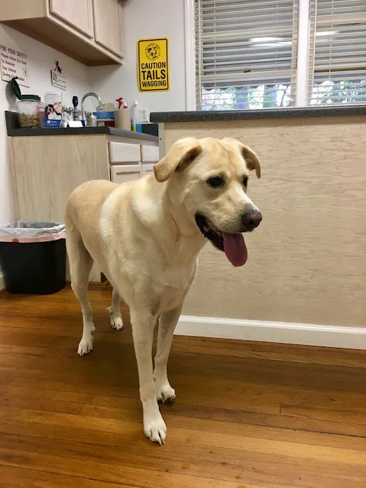 Haynes Bridge Animal Hospital Picture 2