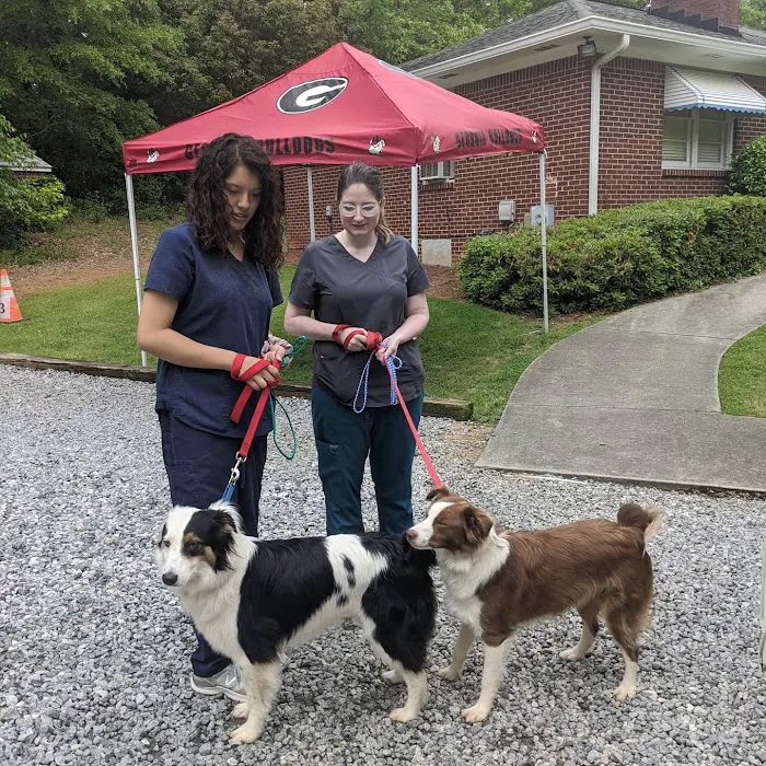 Haynes Bridge Animal Hospital Picture 6