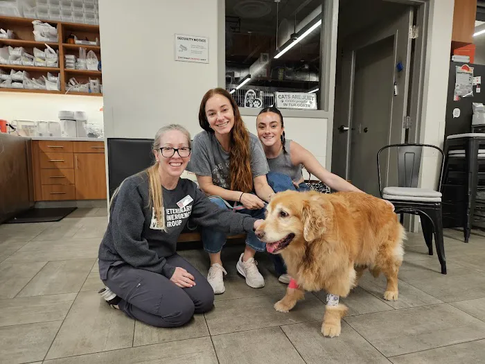 Veterinary Emergency Group Picture 3