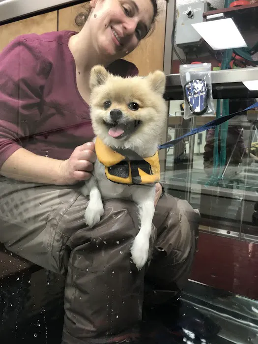 BluePearl Pet Rehab + Fitness Picture 2
