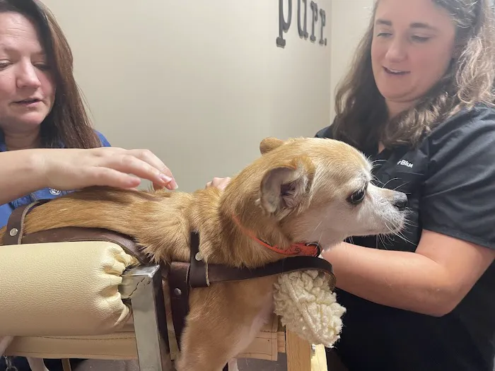BluePearl Pet Rehab + Fitness Picture 3