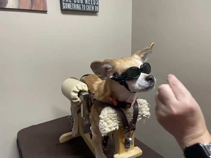 BluePearl Pet Rehab + Fitness Picture 4