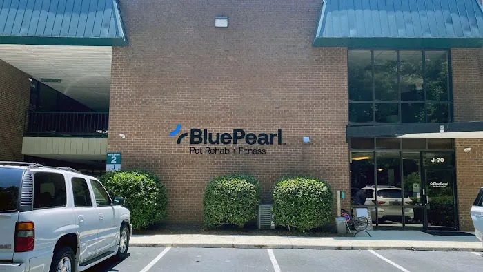 BluePearl Pet Rehab + Fitness Picture 10
