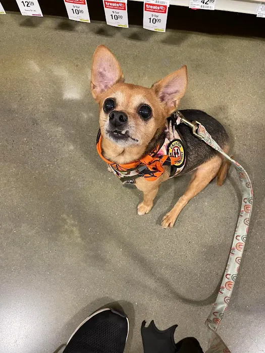 Banfield Pet Hospital Picture 2
