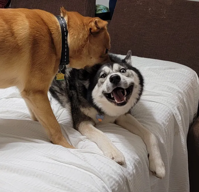 Banfield Pet Hospital Picture 1