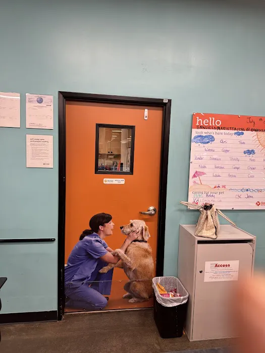 Banfield Pet Hospital Picture 3