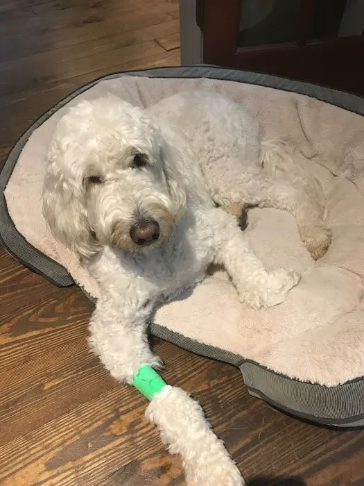 Banfield Pet Hospital Picture 8