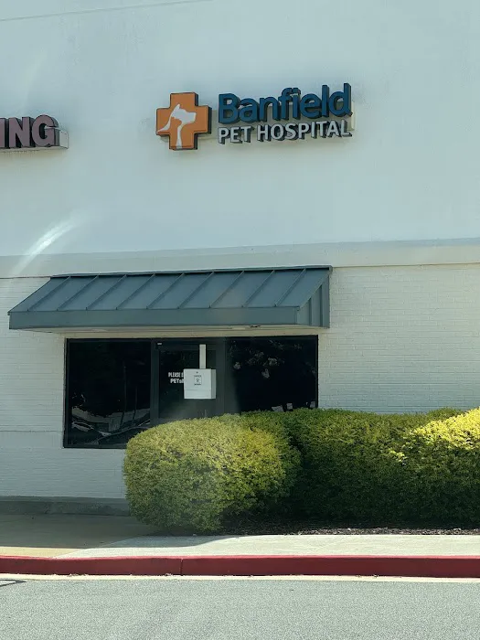 Banfield Pet Hospital Picture 5