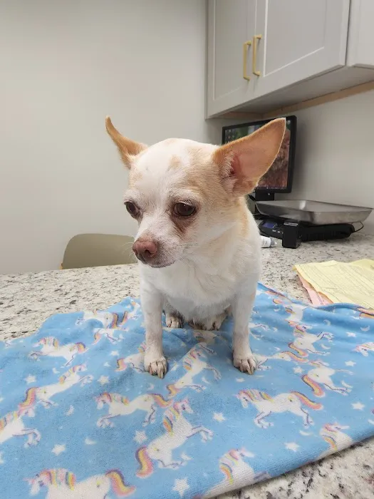 Providence Veterinary Clinic Picture 2