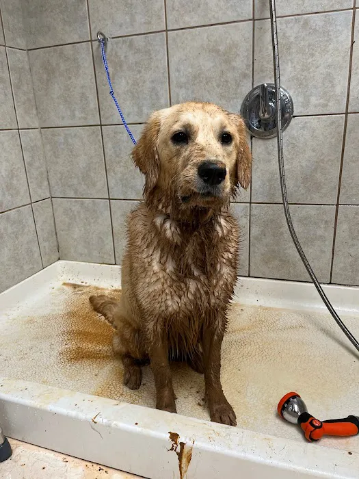 Providence Veterinary Clinic Picture 1