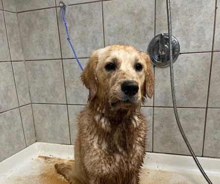 Providence Veterinary Clinic