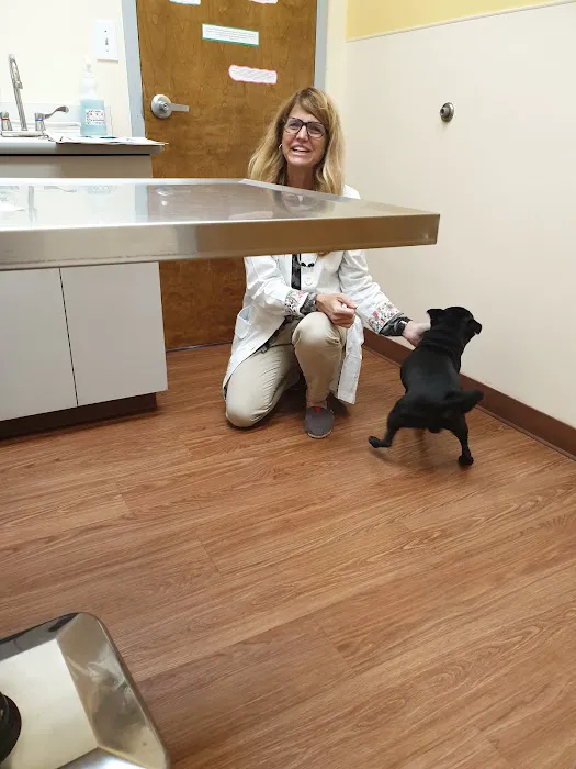 Montrose Animal Hospital Picture 6